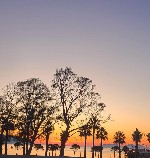 Imprejurimile hotelului 