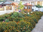 Hotel Morski Dar