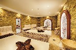 Wellness ?i spa