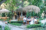 Grădină