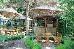 Grădină