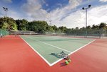 Tenis