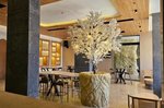 Hotel Hotel 59 Beausite