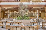 Hotel Jaz Viva Almaza Blu