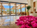 Hotel JAZ Viva Casa Maza