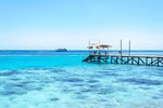 Dig