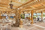 Hotel Stella Makadi Beach Resort & Spa
