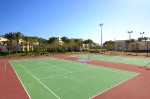 Teren de tenis