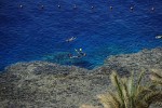 Hotel Reef Oasis Blue Bay