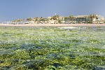 Hotel Barceló Tiran Sharm Resort