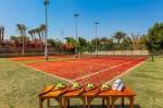 Terenuri de tenis