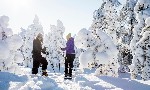 Hotel Charter Laponia Hotel Santa Sport Rovaniemi