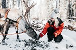 Hotel Charter Laponia Hotel Santa Sport Rovaniemi