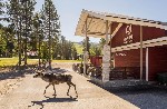 Hotel Charter Laponia Lapland Hotels Sirkantahti Levi