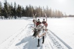 Hotel Charter Laponia Posti Boutique Hotel Rovaniemi