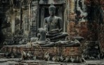 CIRCUIT EXPLORE INDIA-NEPAL