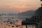 CIRCUIT EXPLORE INDIA-NEPAL