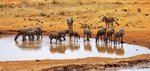 Hotel Ananea Diamonds Malindi and Safari Tsavo Explorer RO