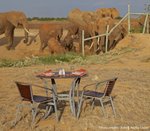 Hotel Ananea Diamonds Malindi and Safari Tsavo Explorer RO