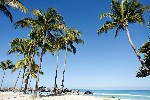 Hotel Starfish Cuatro Palmas