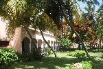 Hotel Starfish Cuatro Palmas
