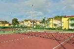 Tenis