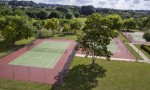 Tenis