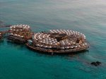 Hotel Salamis Bay Conti Resort