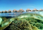 Hotel Safari Island Resort & Spa