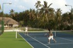 Tenis
