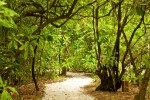 Hotel Reethi Beach Resort