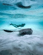 Hotel Cocoon Maldives