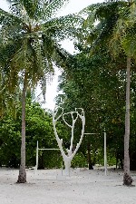 Hotel Cocoon Maldives