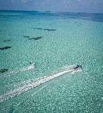 Hotel Cocoon Maldives