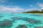 Snorkeling