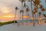 Restaurantul Palm
