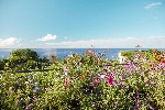 Grădină cu vedere la ocean