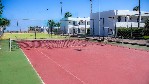 Tenis