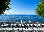 Hotel Dimitra Beach Hotel & Suites