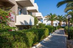 Hotel Akti Kalimera adults
