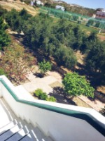 Gradina