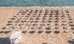 Plajă