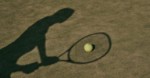 Tenis