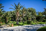 Hotel Creta Star