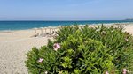 Plajă