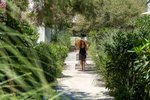 Gradina