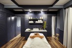 Hotel Delamar