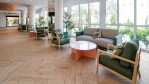 Hotel Medplaya Hotel Calypso