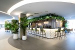 Hotel Riu Concordia