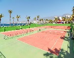 Terenuri de tenis